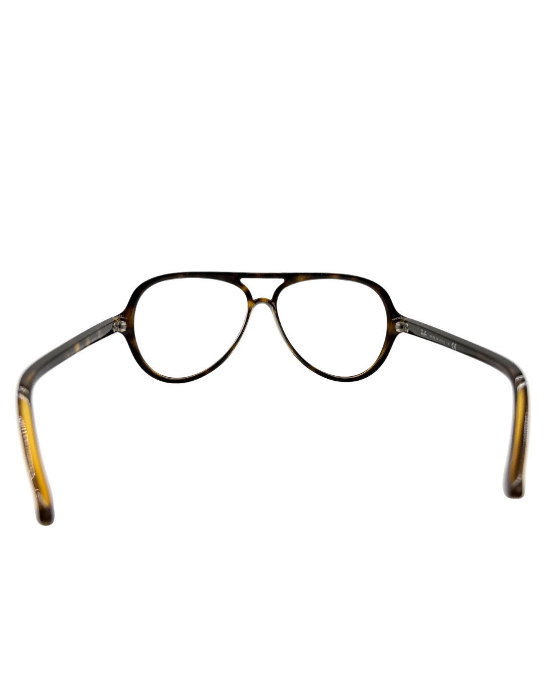 Rayban Tortoises Glasses