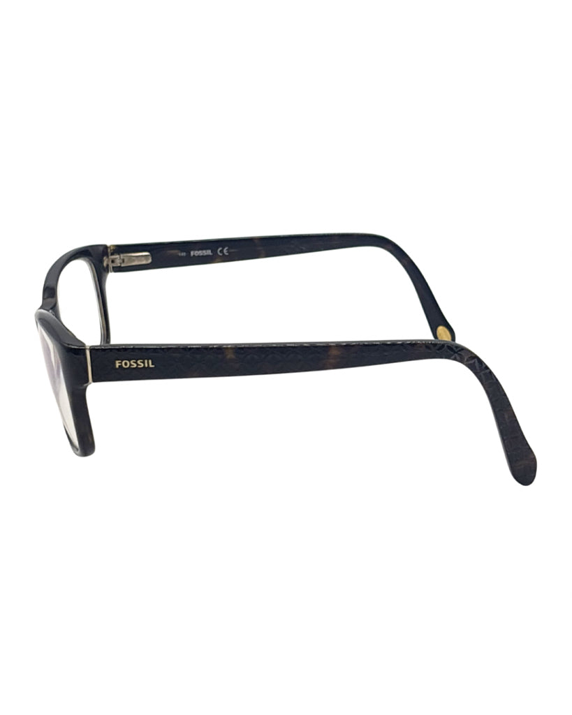 Fossil Glasses
