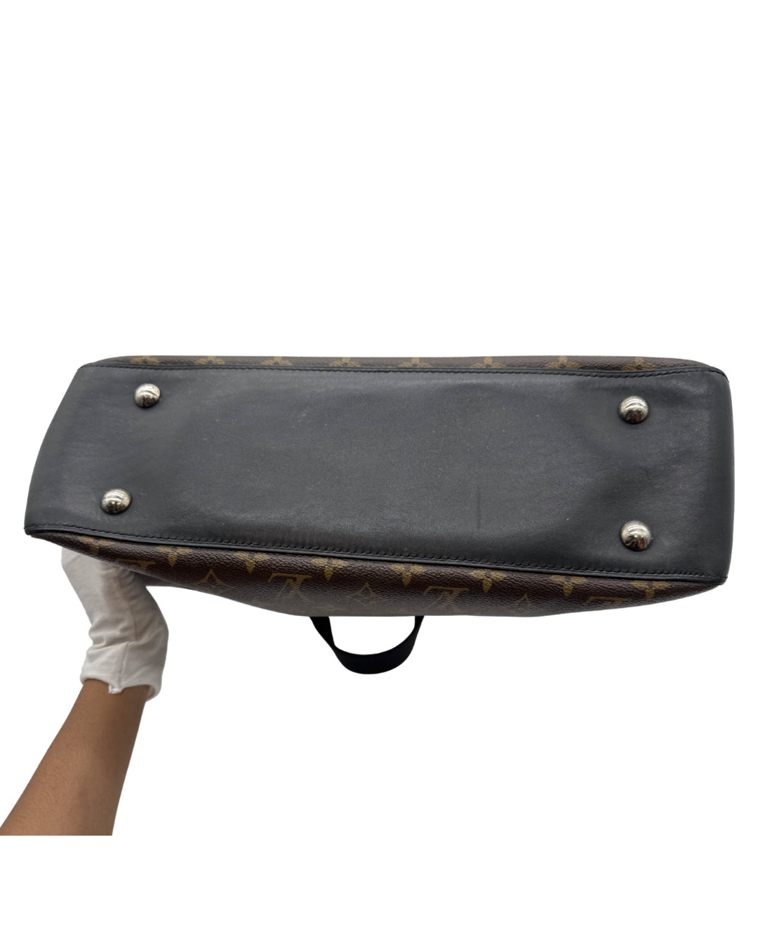 Louis Vuitton Monogram Macassar Davis