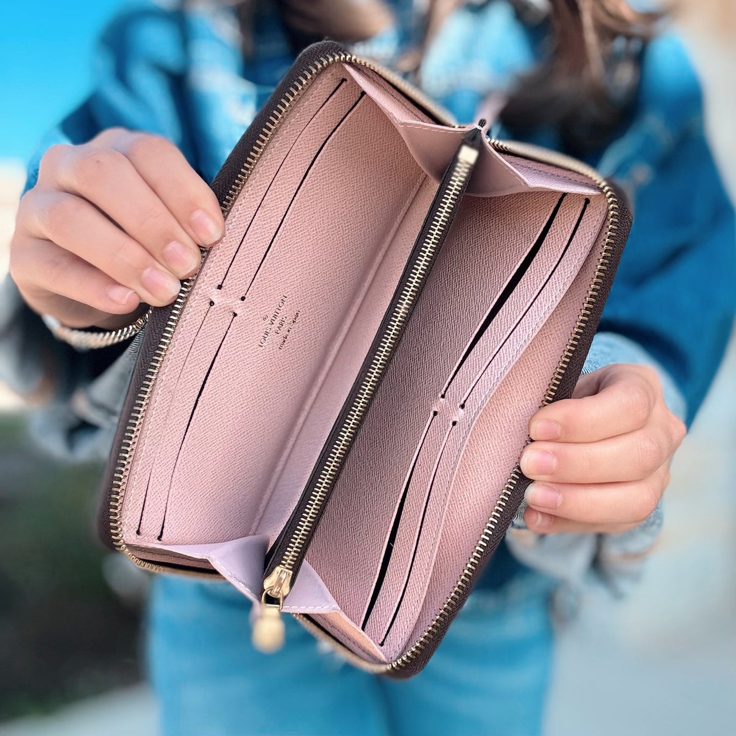 Louis Vuitton Clemence Wallet