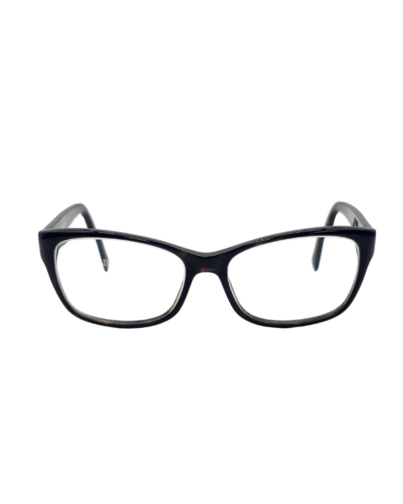 Fossil Glasses
