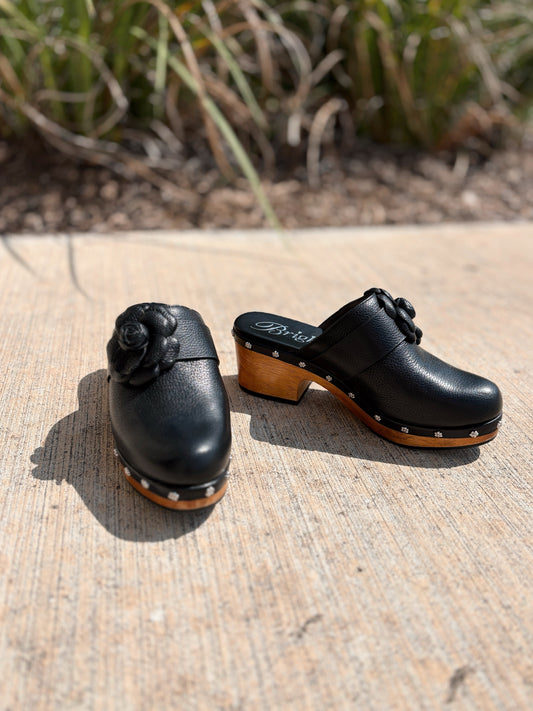 Brighton Size 7 Clogs