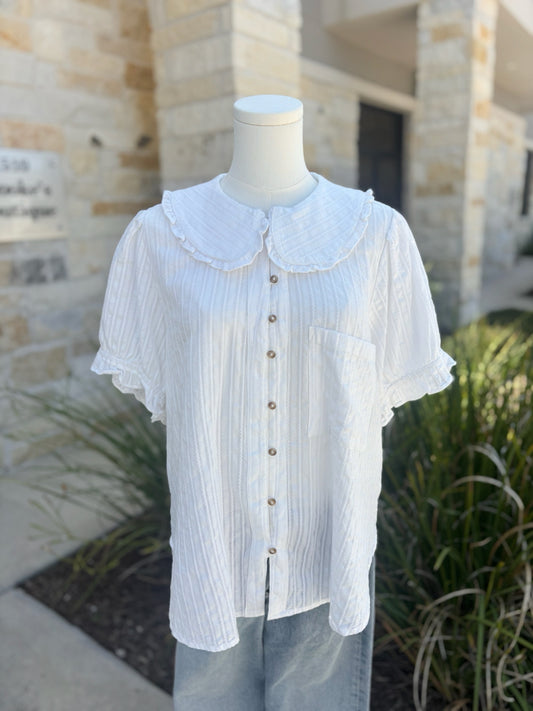 Pilcro Size XL Top