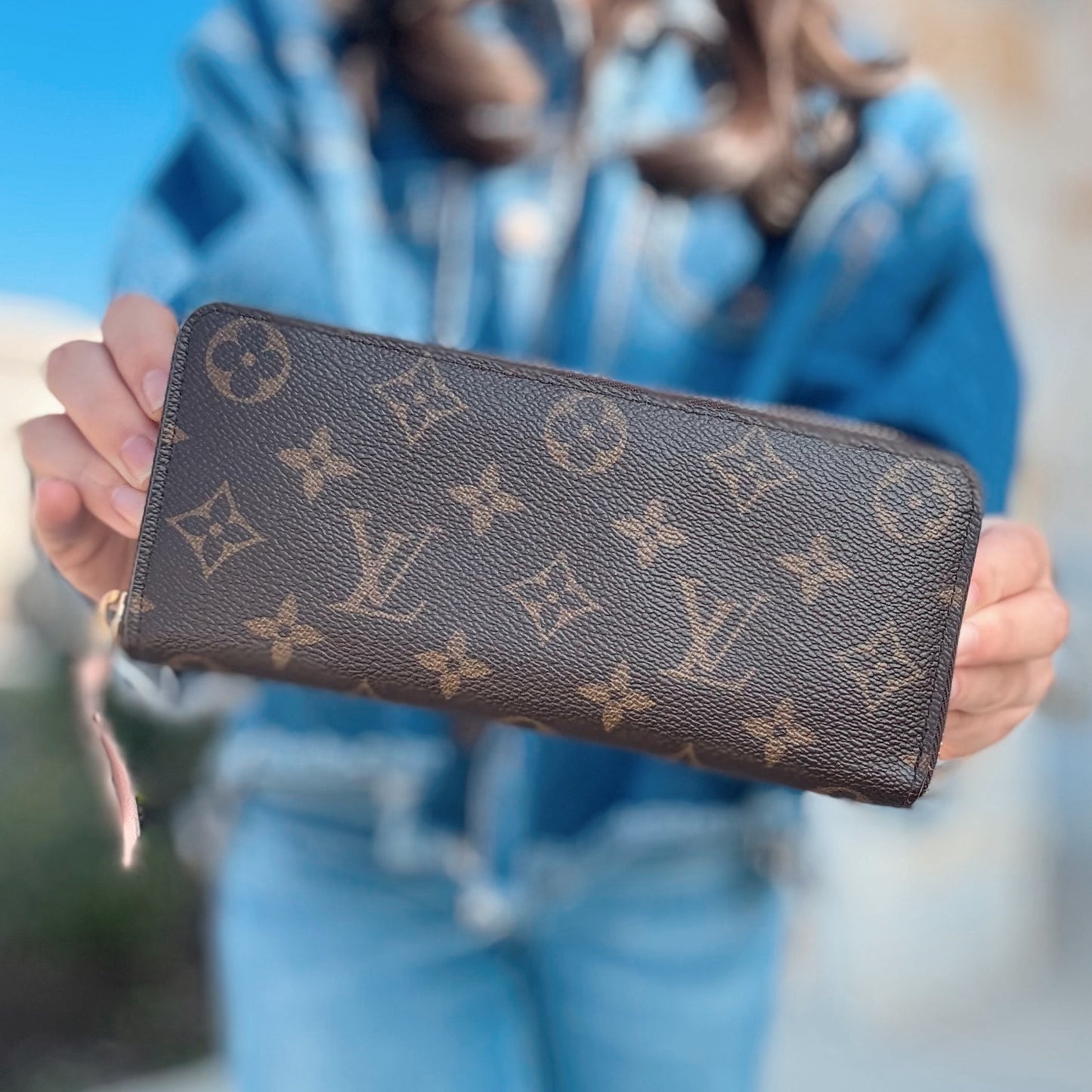 Louis Vuitton Clemence Wallet