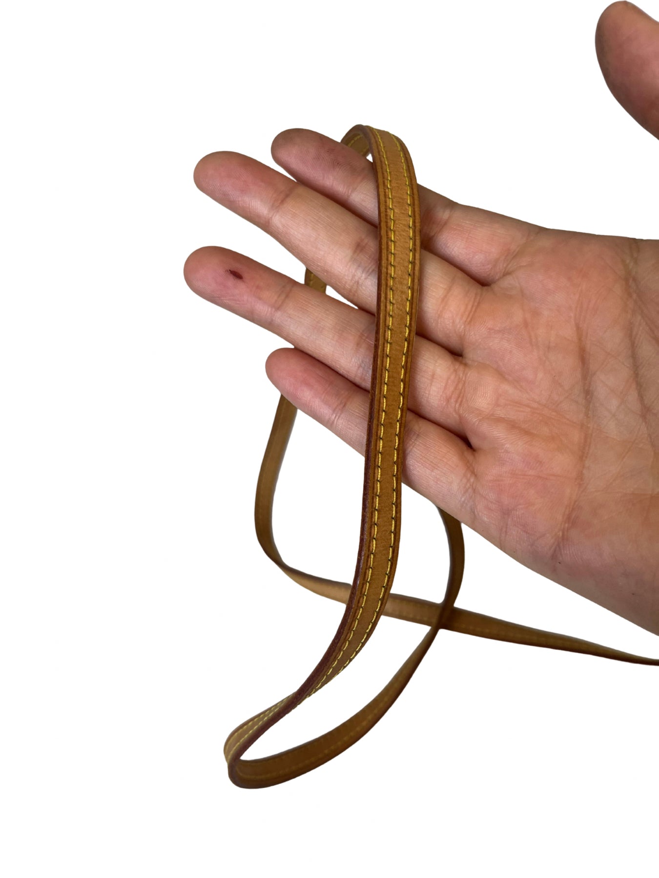 Louis Vuitton Monogram Twin PM