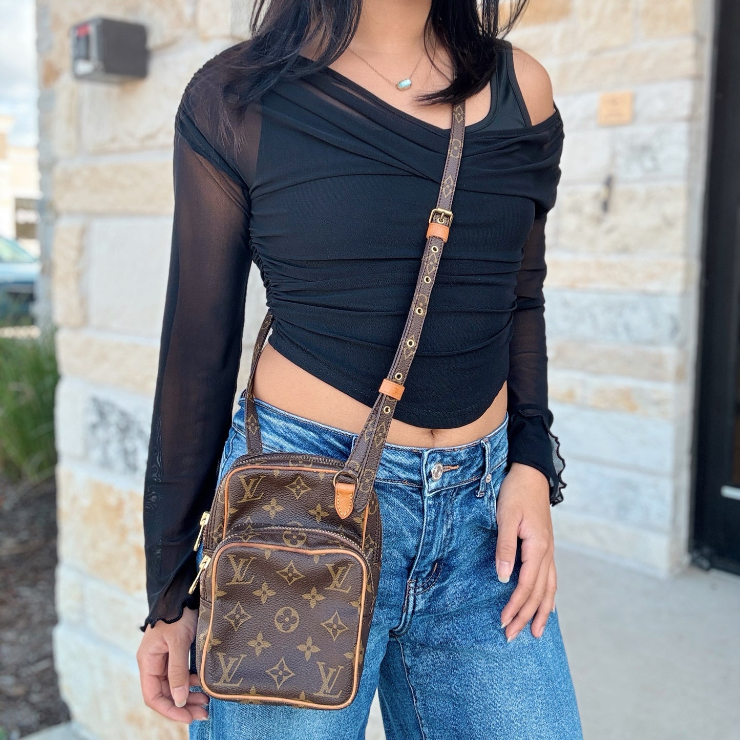 Louis Vuitton Mini Amazon